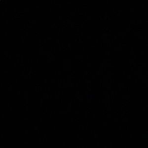 Meet your Posher, Shaun